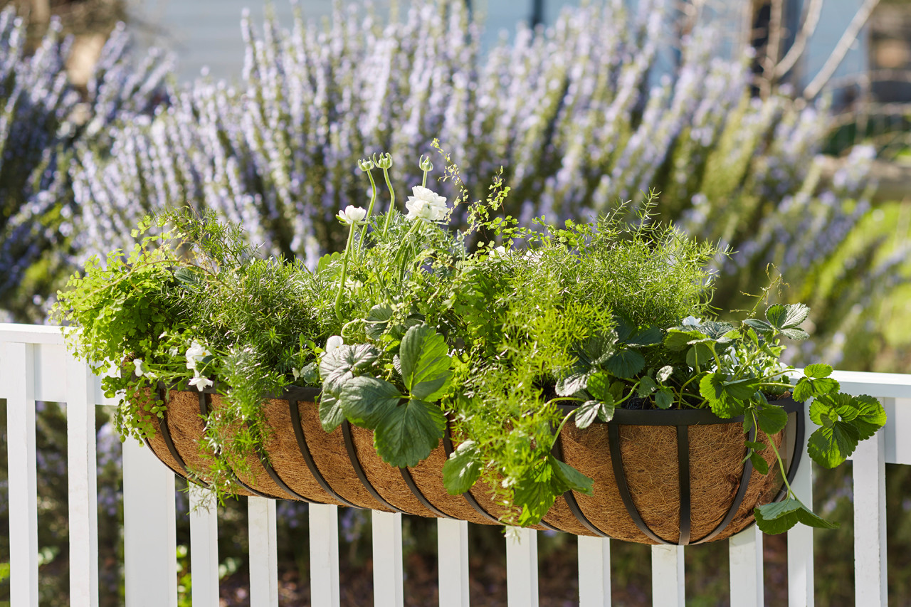 English Garden Railing Basket