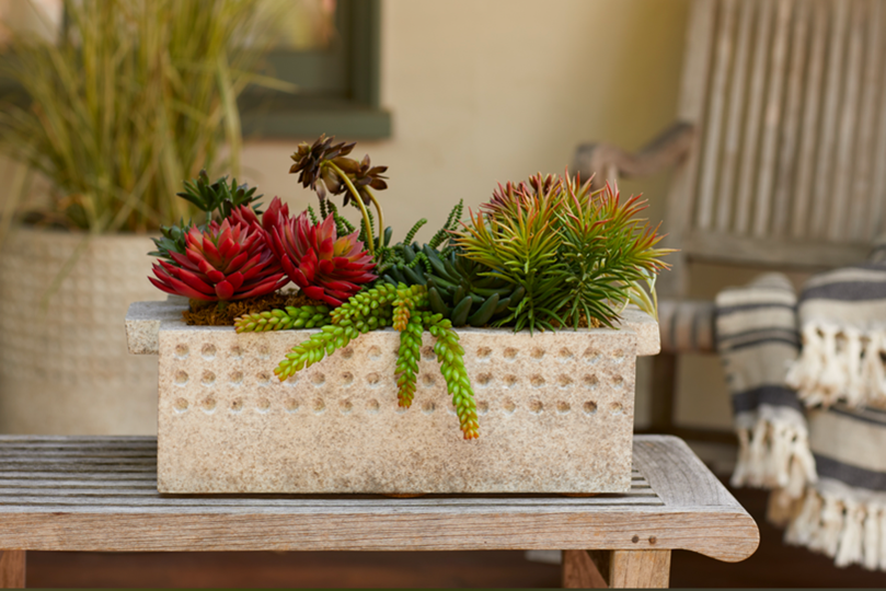 Fossetta Tabletop Planter