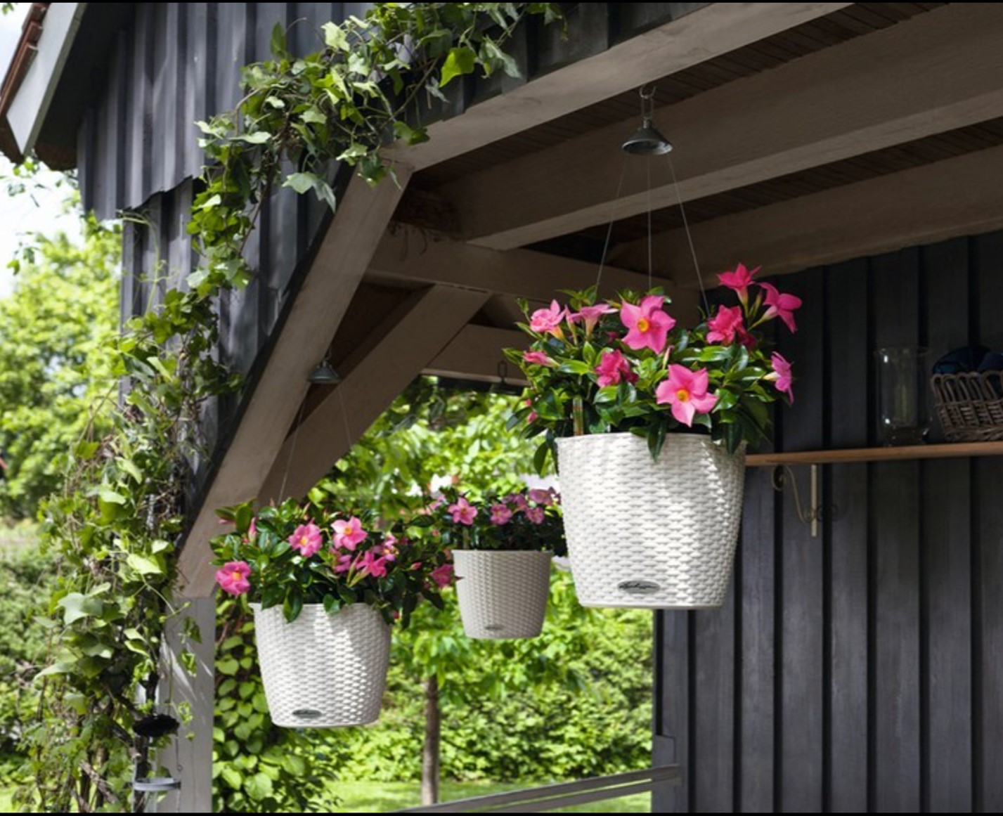 Cottage Weave Hanging Basket