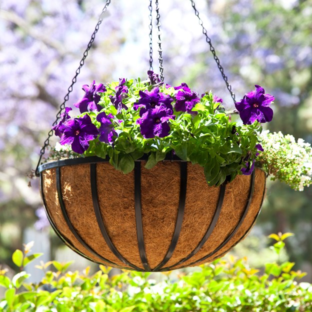 Large English Garden Hanging Baskets